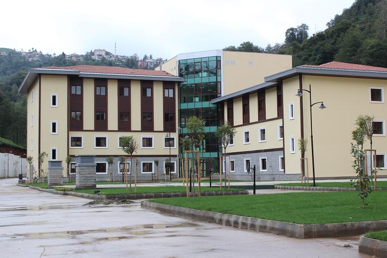 rize1