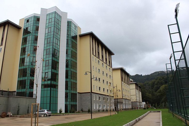 rize2